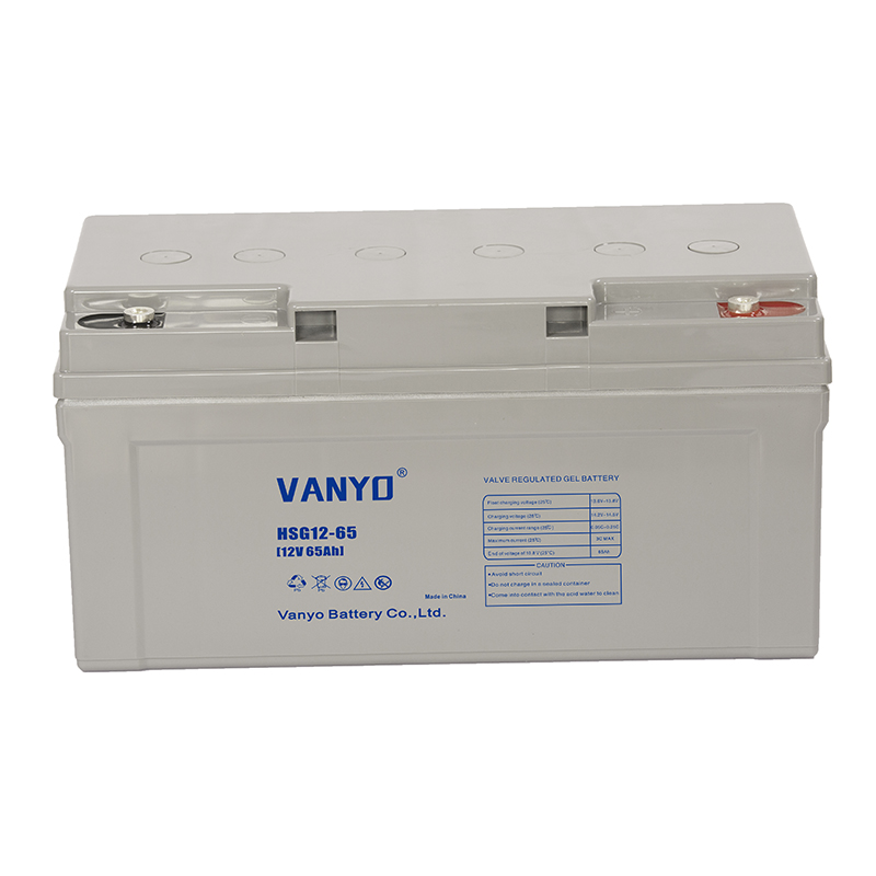 AGM Deep Cycle VRLA Batteries 12V65 ( 2)