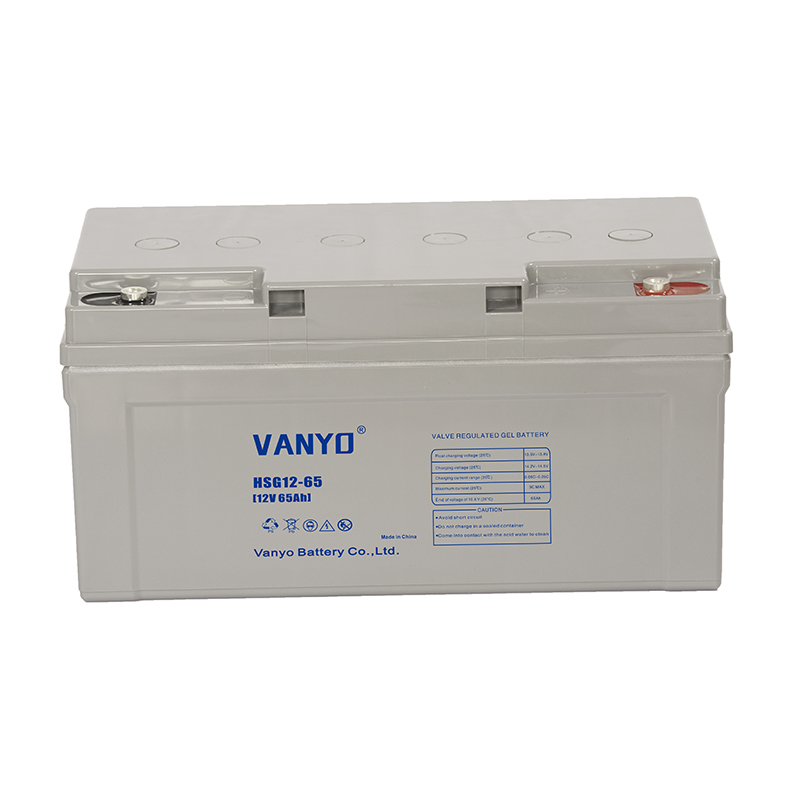 Deep Cycle Valve Rergulated Sealed Lead-Acid Batteries 12V65 ( 2)