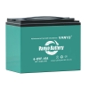 Lead Acid Battery Electric 3 Wheeler Vehicle VANYO 04