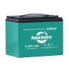 Lead Acid Battery Electric 3 Wheeler Vehicle VANYO 06