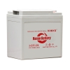 Valve-regulated Sealed Lead-acid Battery for Electric Vehicles VANYO 06